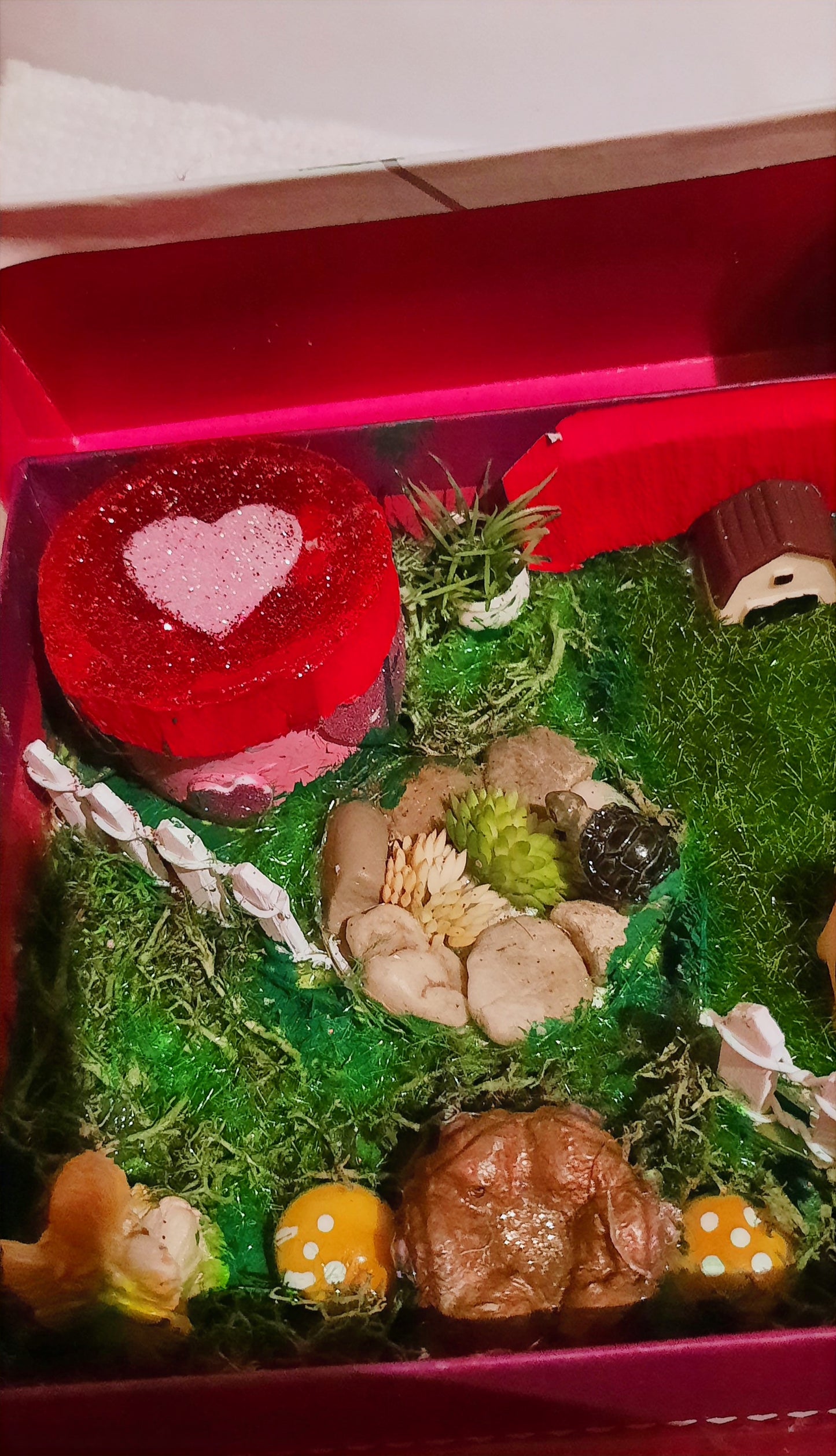 Love in a Box