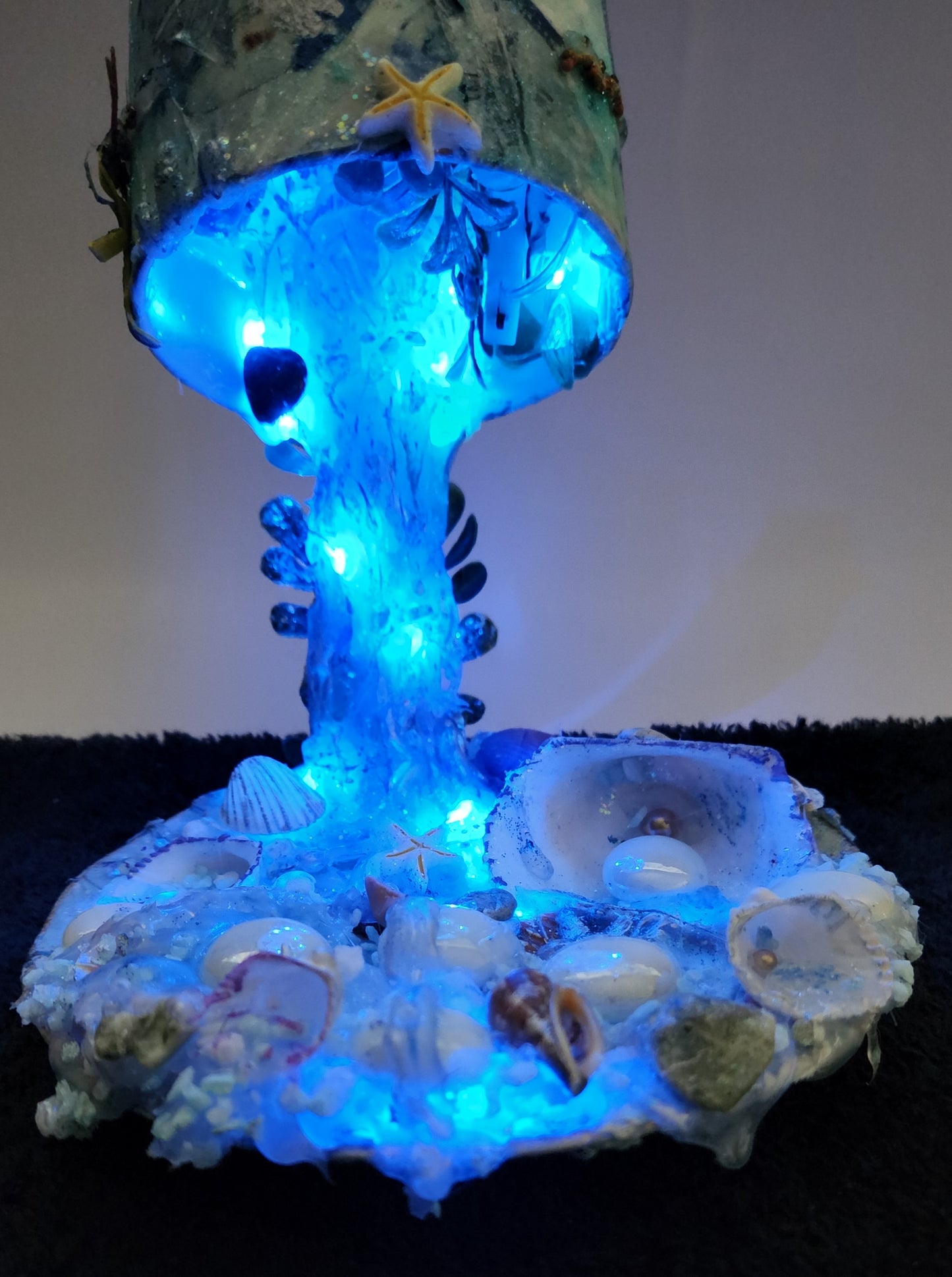 Ocean and Beach Collection